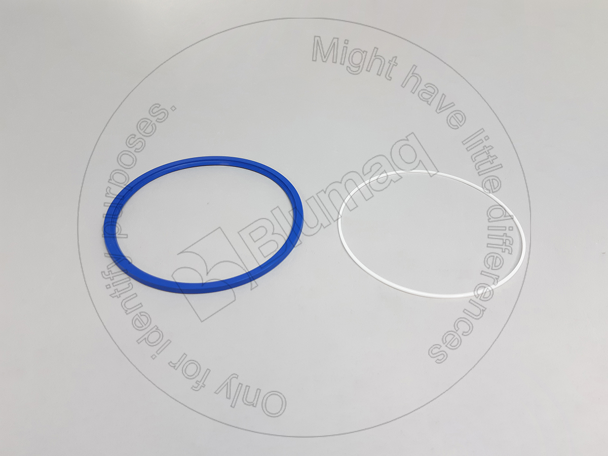 5690112 ST САЛЬНИК