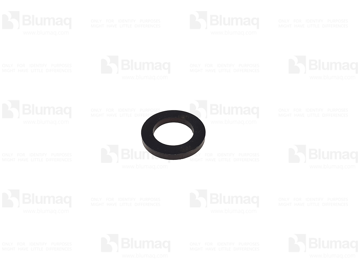 4731733 BQ HARD WASHER