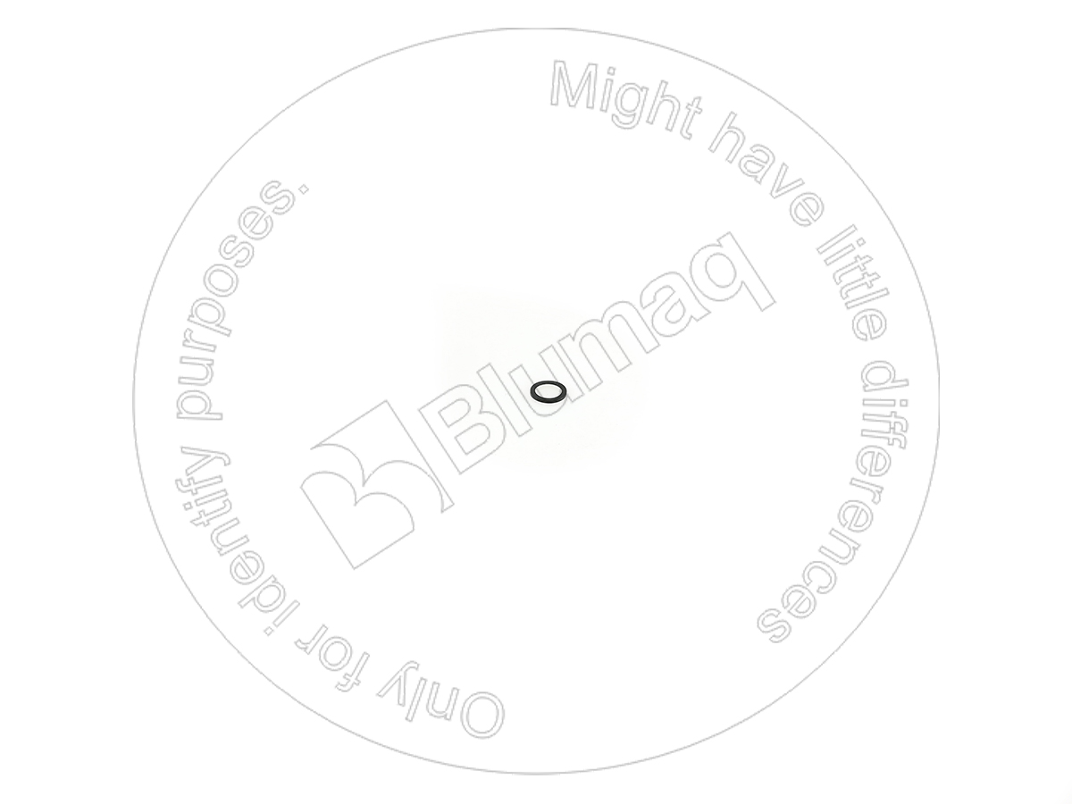 5W8021 ST САЛЬНИК