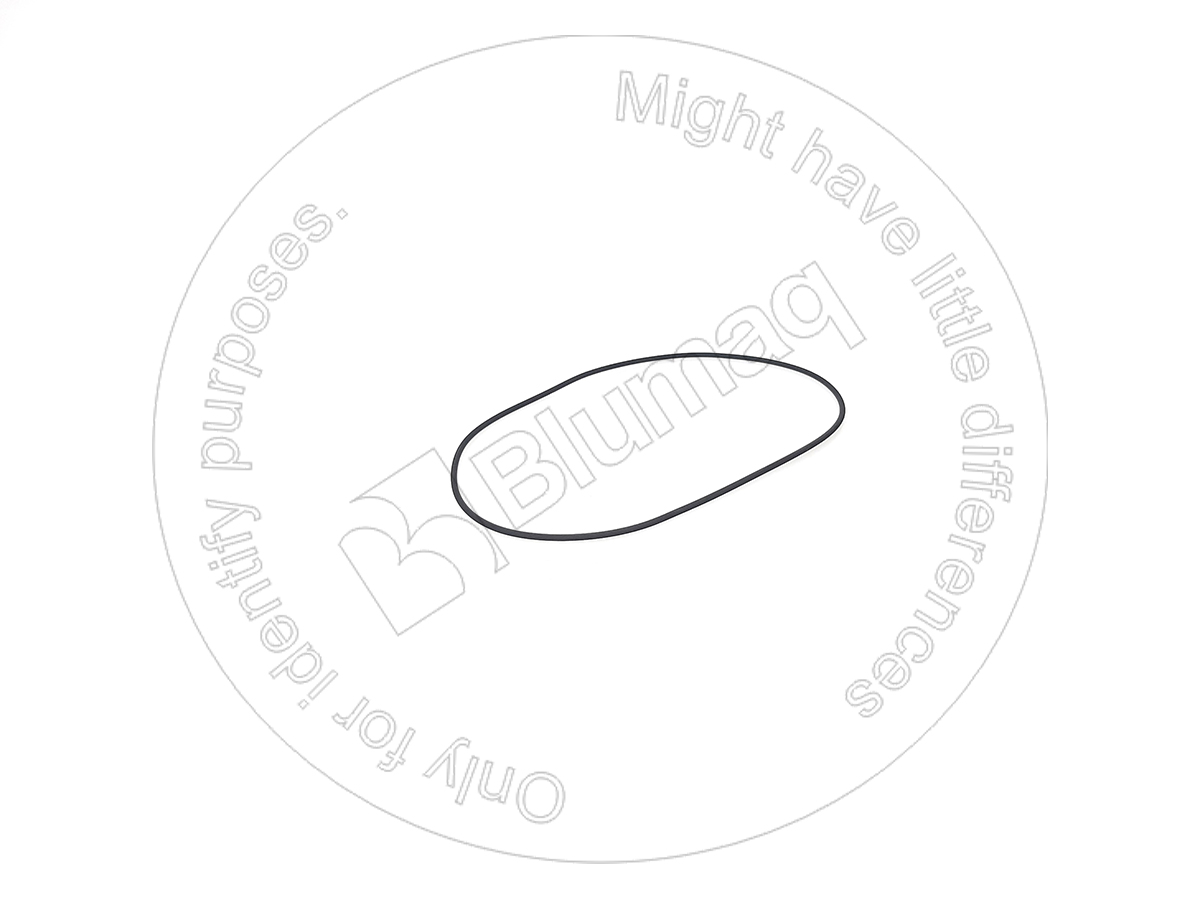 0858879 ST САЛЬНИК