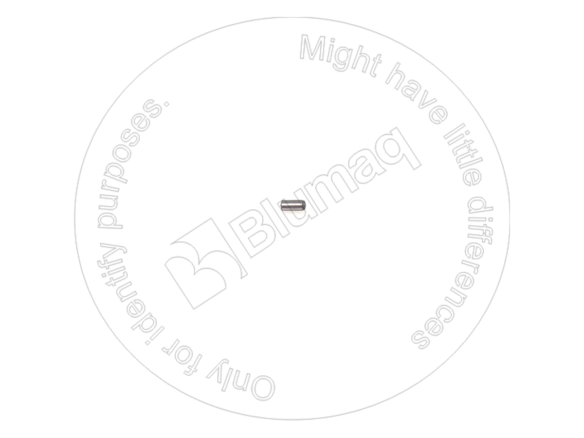1G7307 OR ШТИФТ