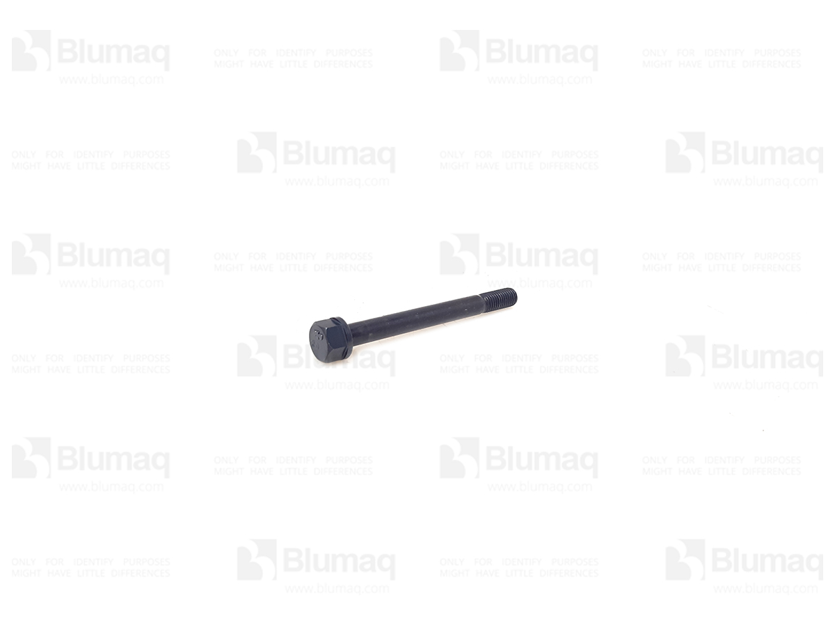 6136111610 OR BOLT