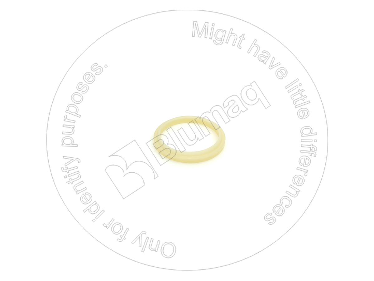 5J8156 ST САЛЬНИК