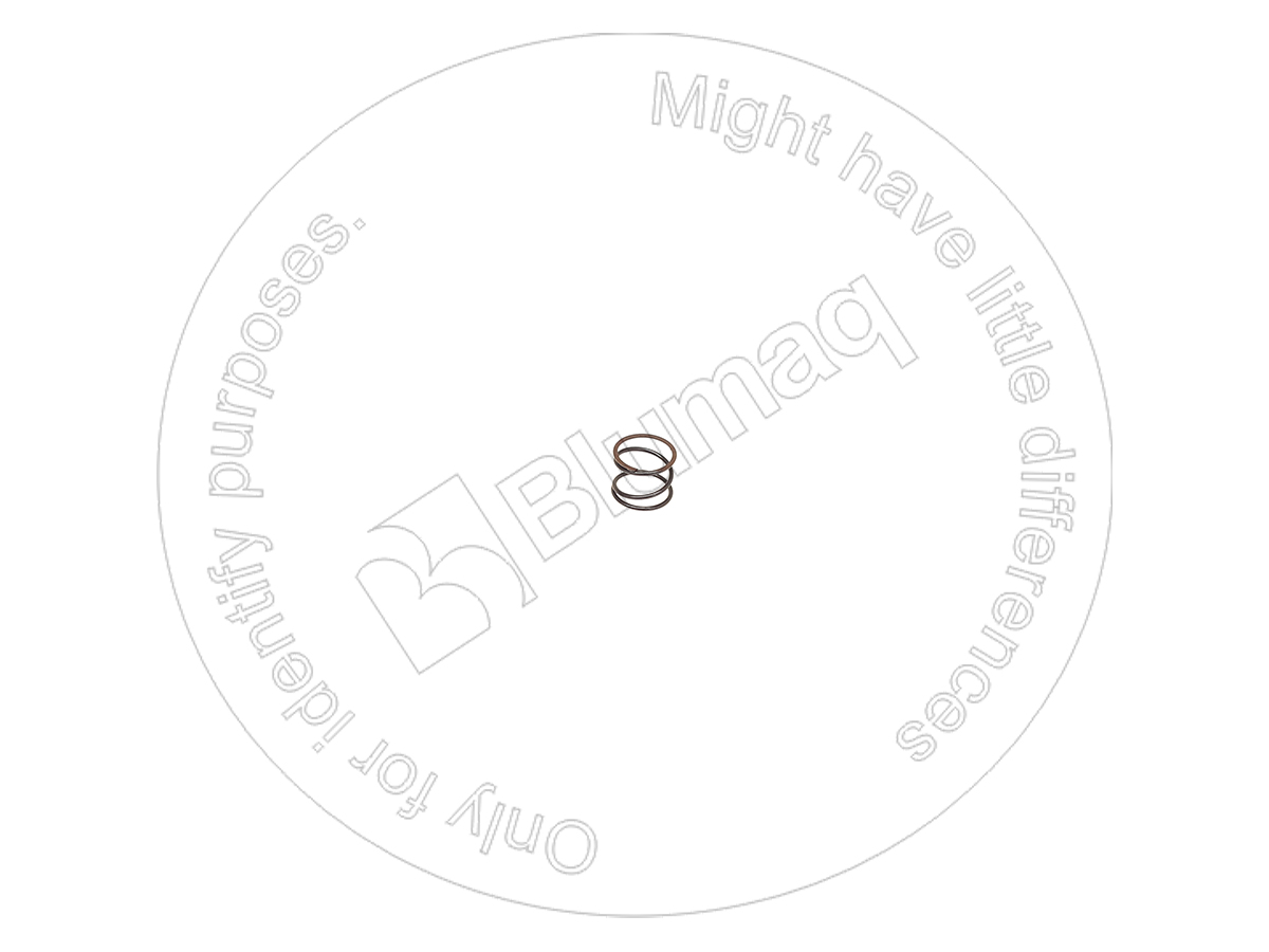 9T1699 ST ПРУЖИНА