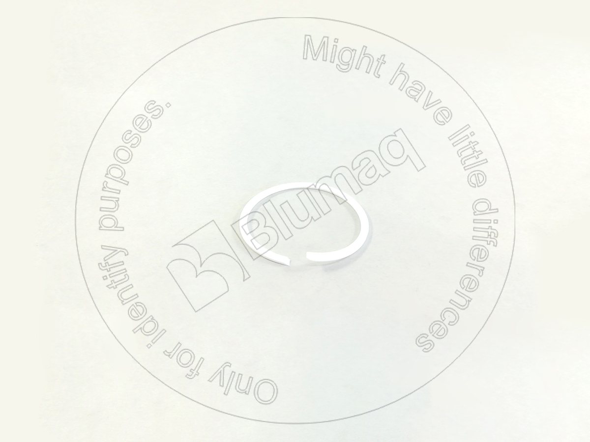 0931497 ST СЕГМЕНТ