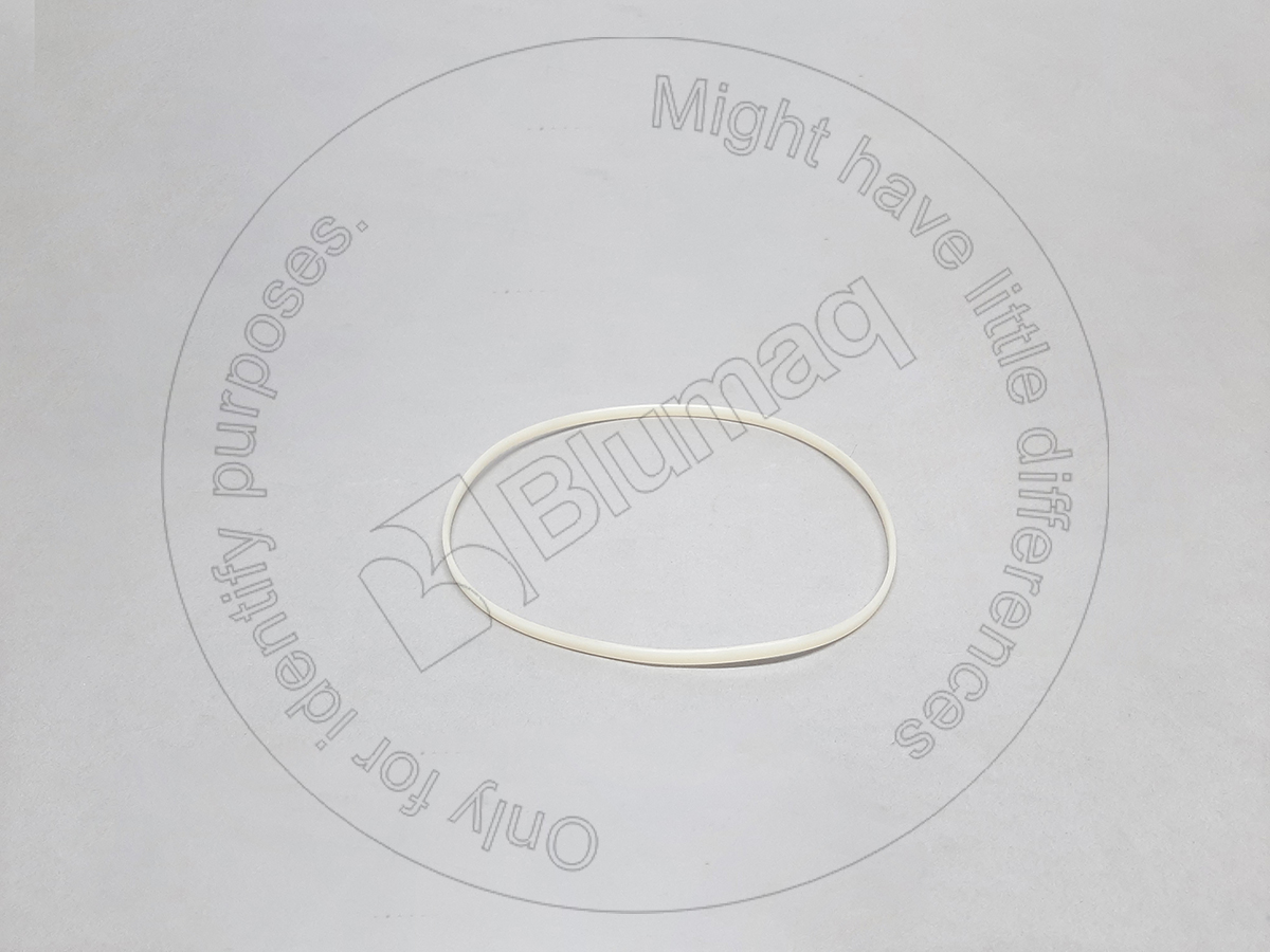 8T8378 ST САЛЬНИК