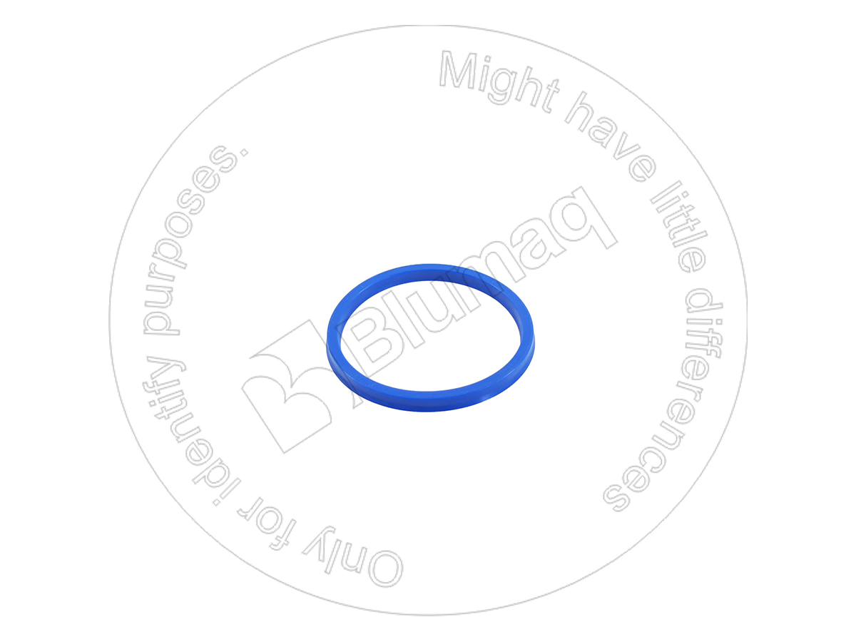 5U3532 ST САЛЬНИК