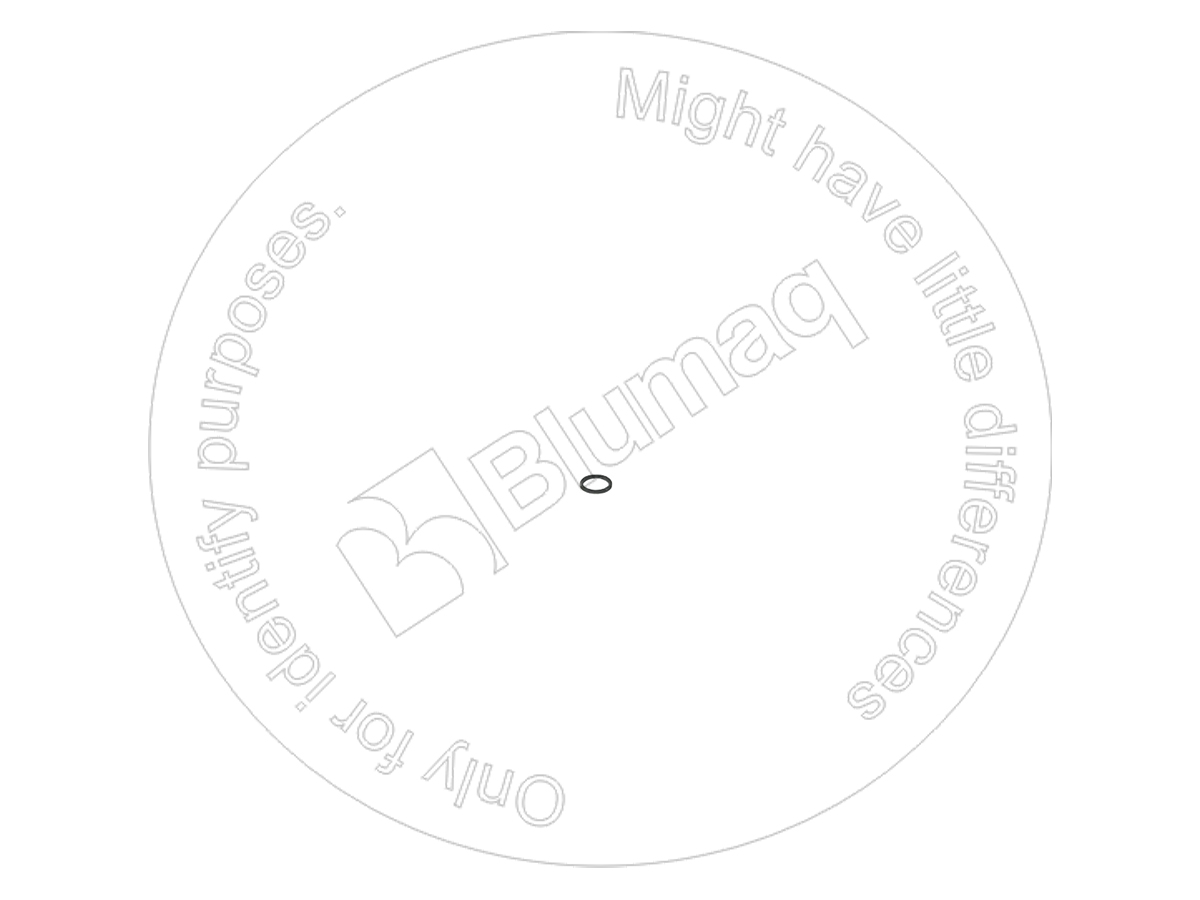 841192400 ST КОЛЬЦО КРУГЛОГО СЕЧЕНИЯ