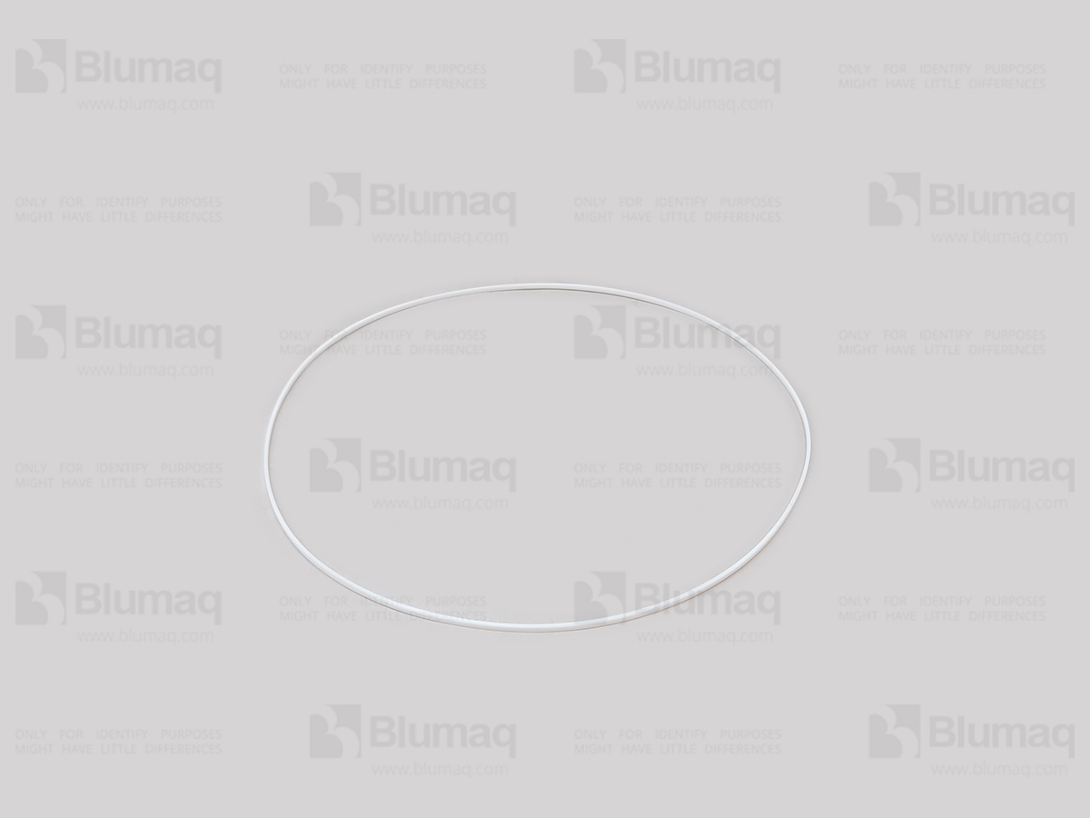 2799905 ST SEAL O-RING
