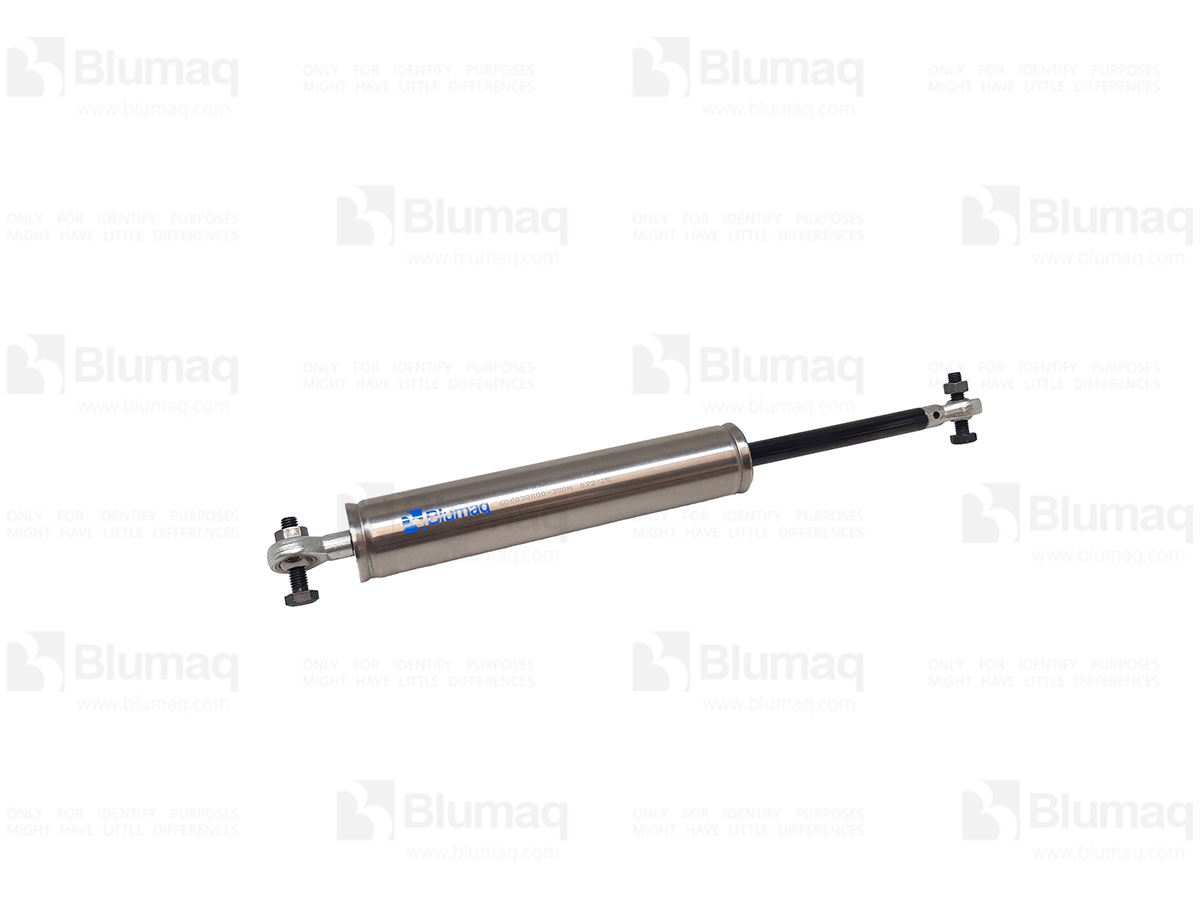 4869023 BQ STRUT AS-M