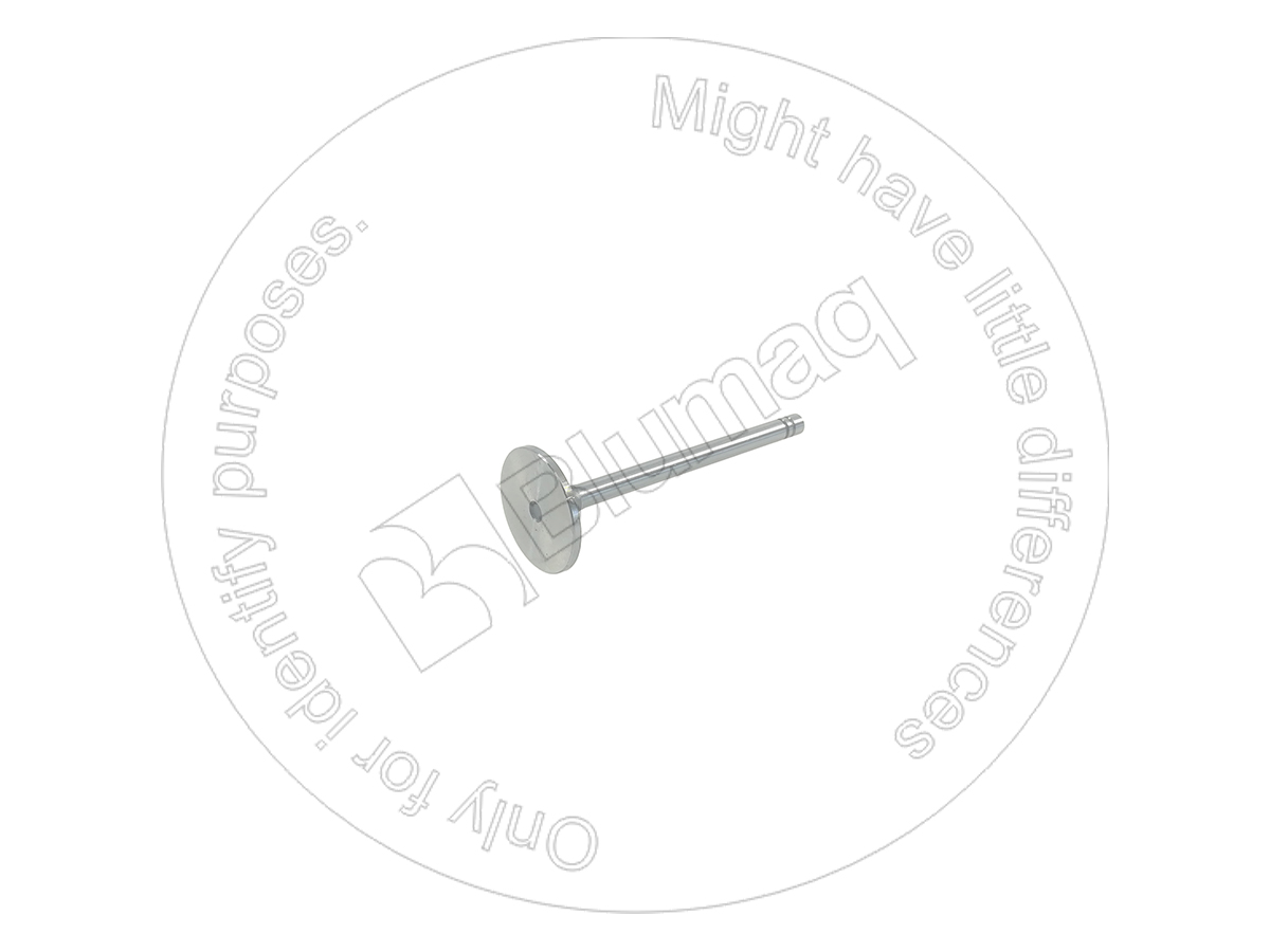 5S6449 BQ ВЫПУСКНОЙ КЛАПАН