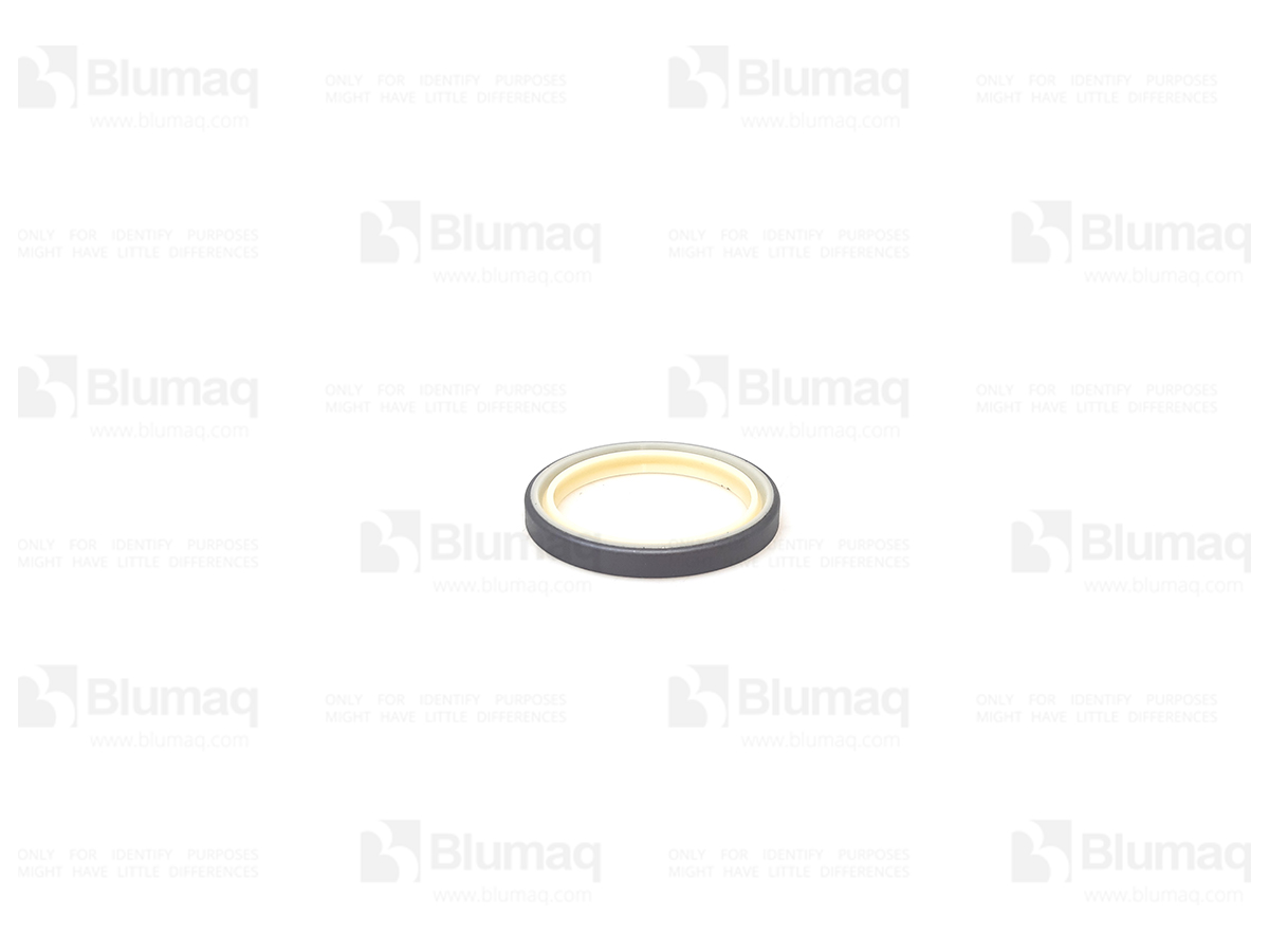 8J6069 ST САЛЬНИК