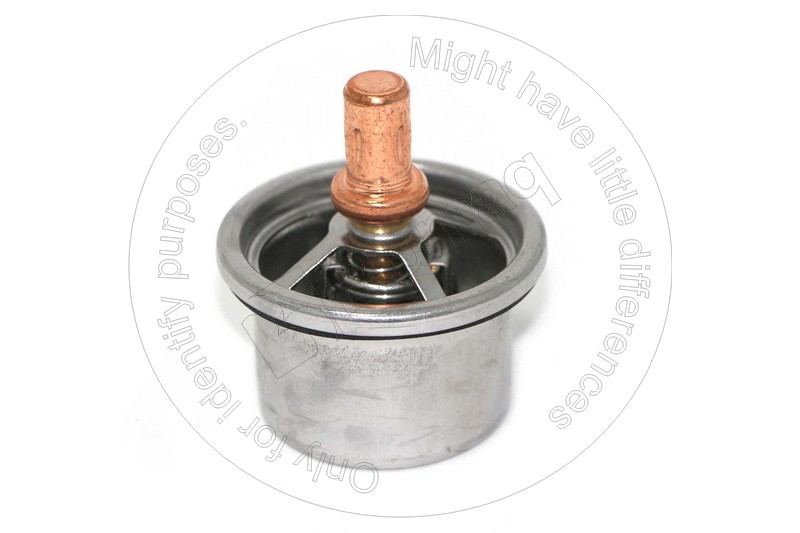 6I4955 ST ТЕРМОСТАТ