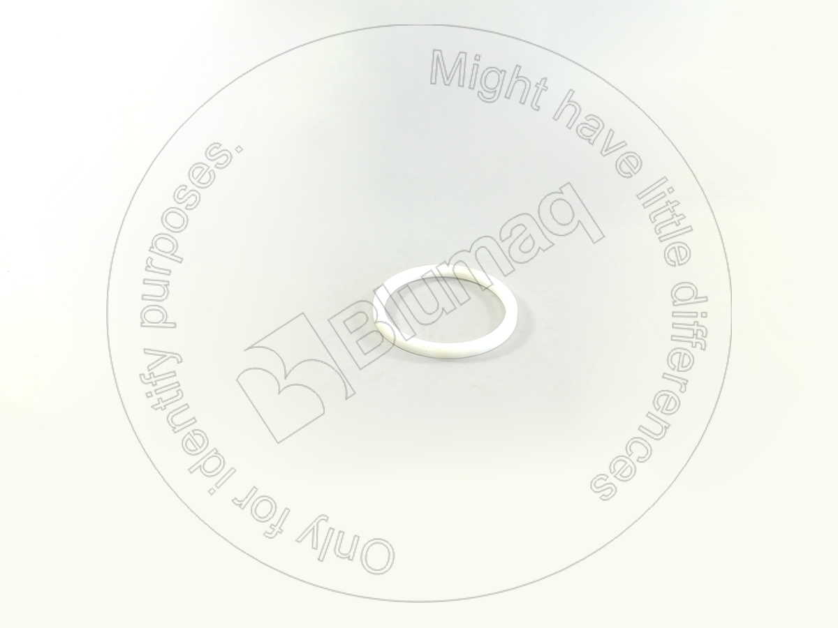CT1069746 ST КОЛПАК