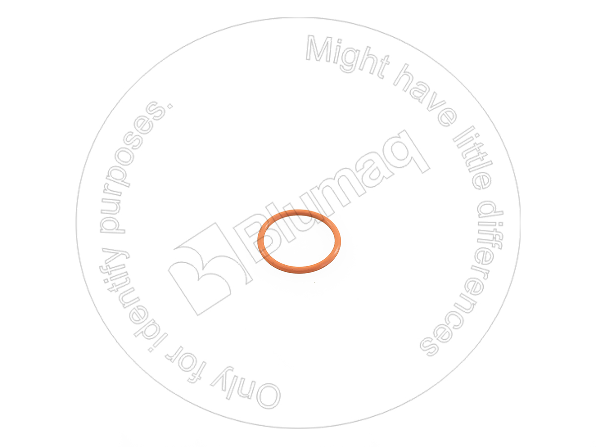 9X3979 ST О-кольцо
