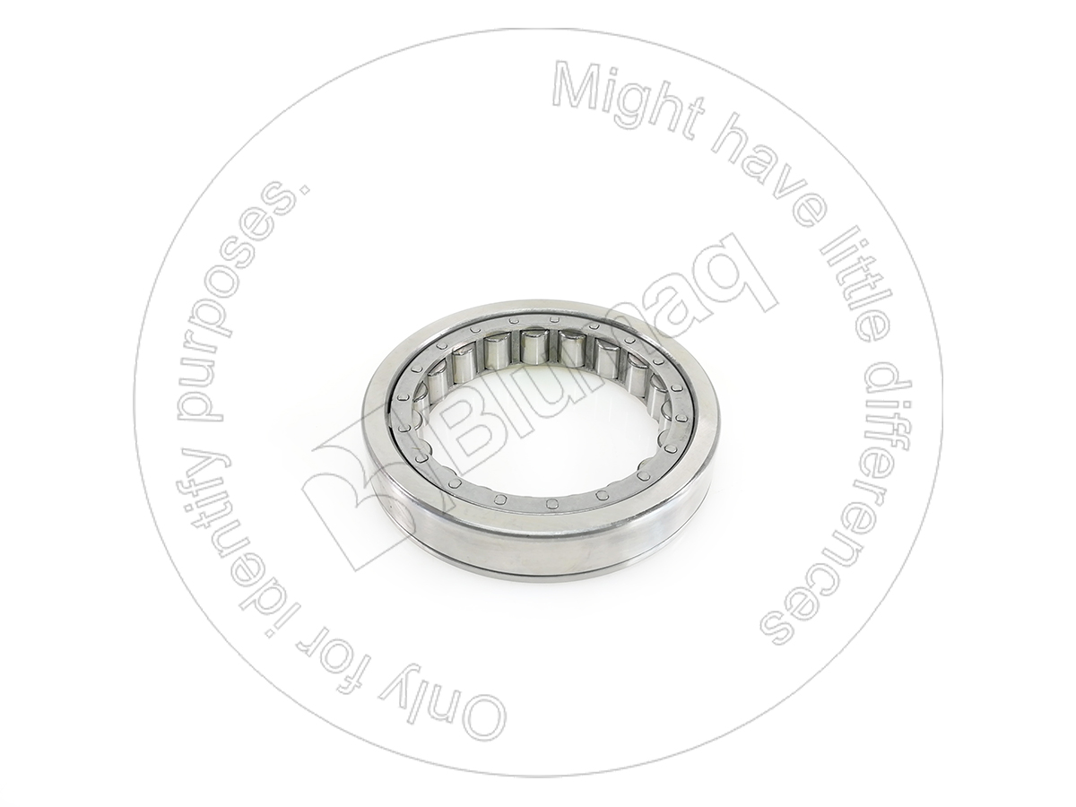 2500839 OE ПОДШИПНИК