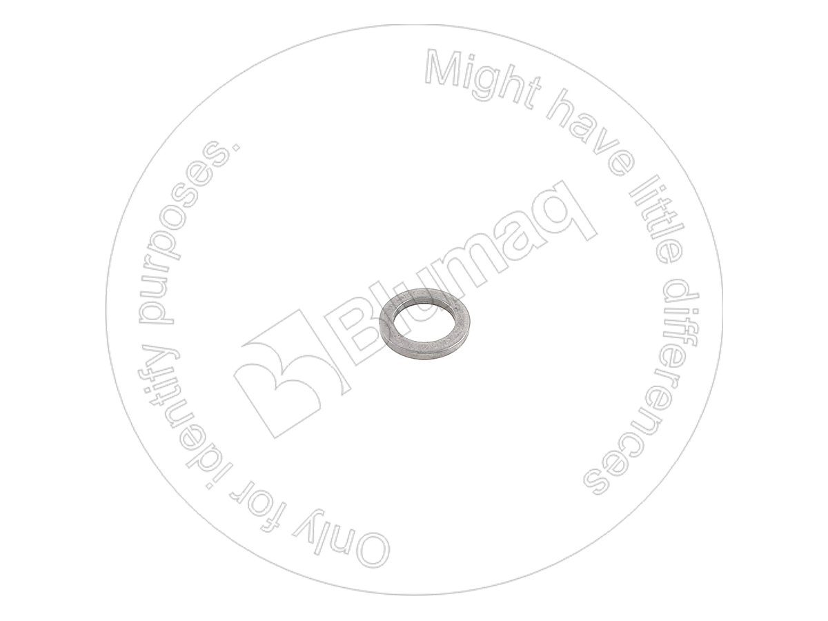 2R0409 OR ШАЙБА