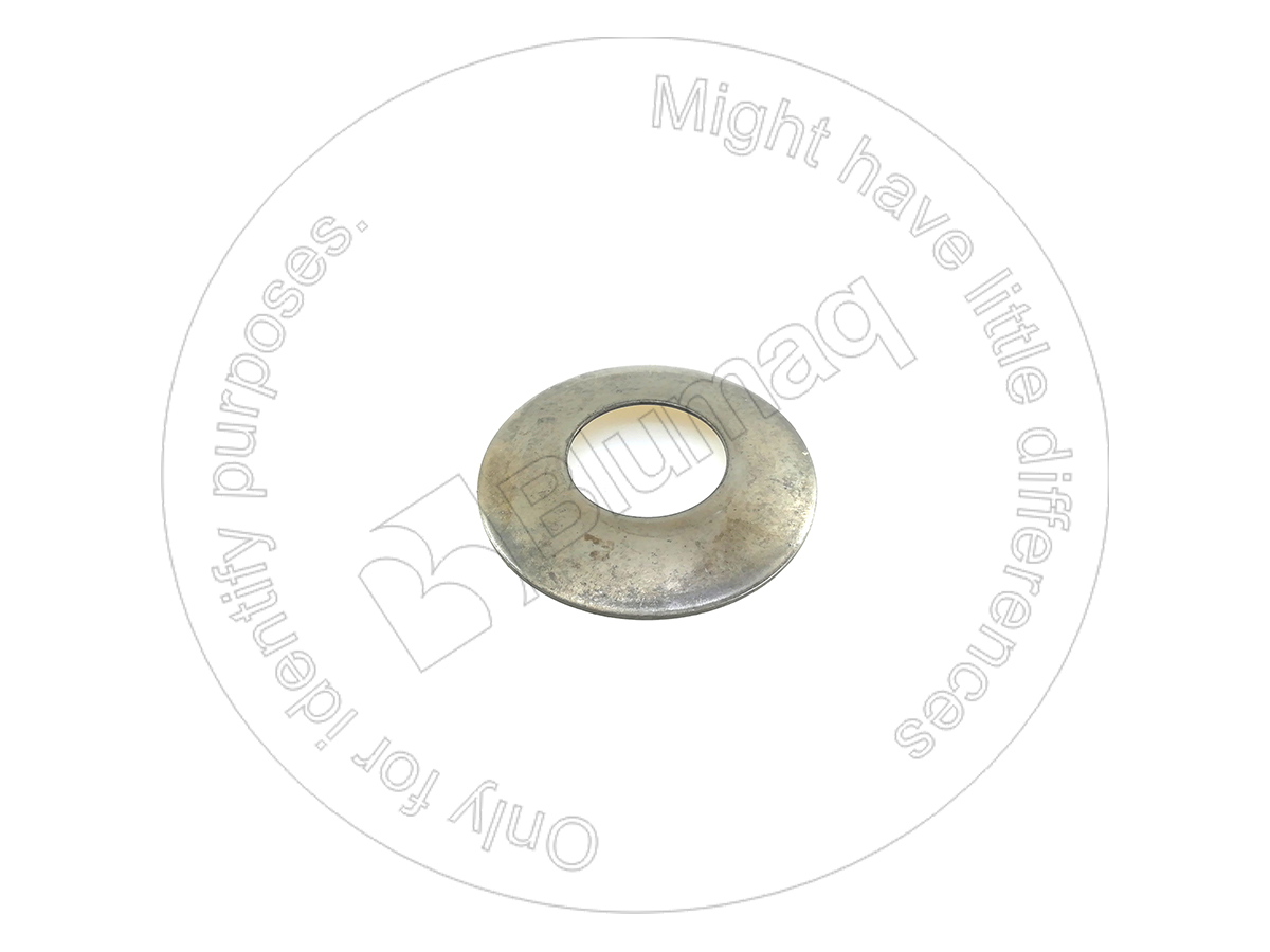 818811 OE ШАЙБА