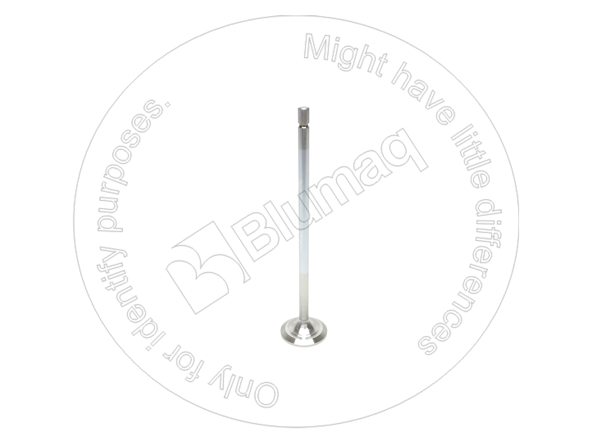 2421542 BQ КЛАПАН ВПУСКНОЙ