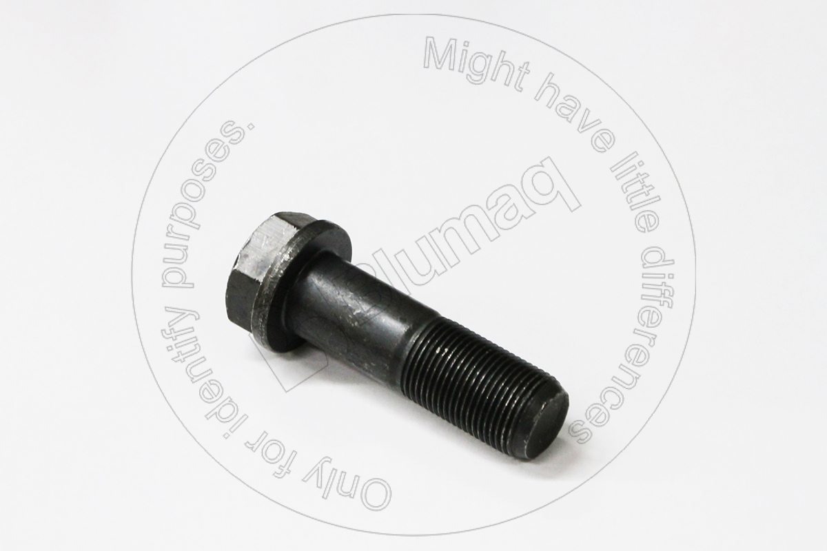3062148 ST SHOE BOLT KIT