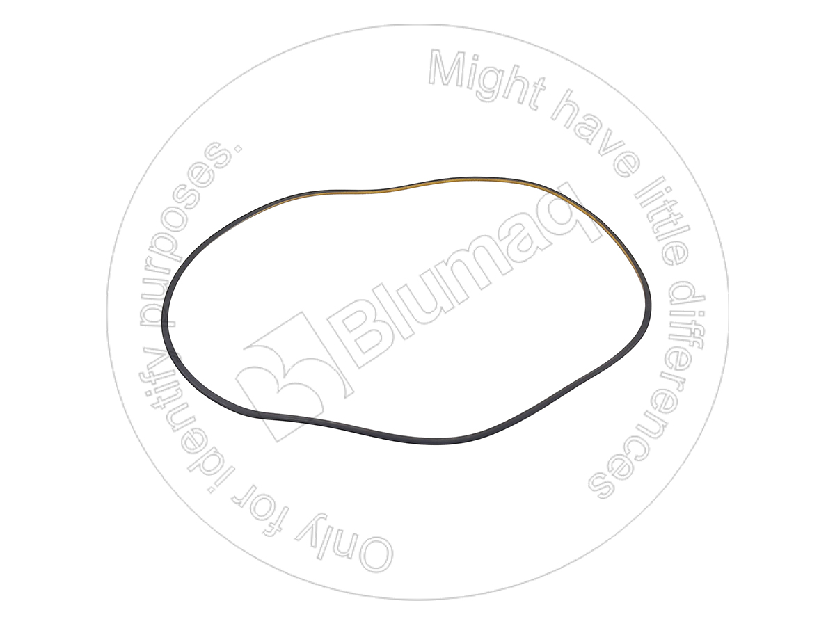 9M2107 OR САЛЬНИК