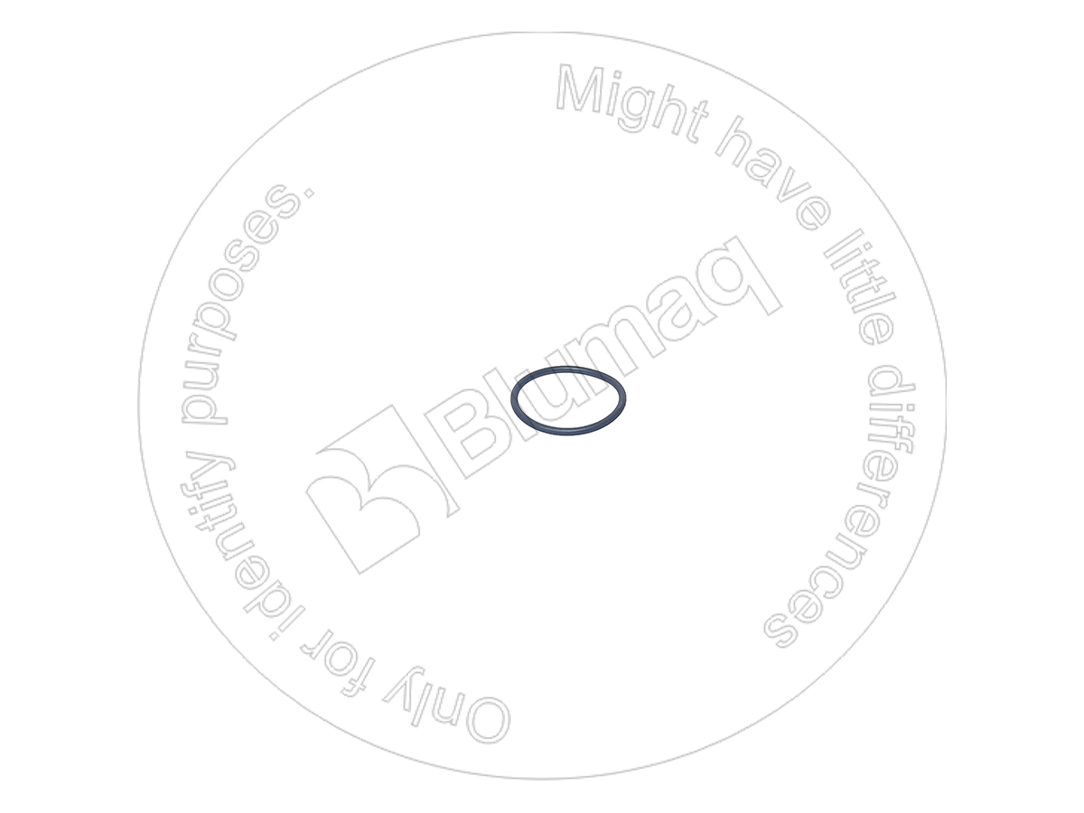 VOE1662041 ST КОЛЬЦО КРУГЛОГО СЕЧЕНИЯ