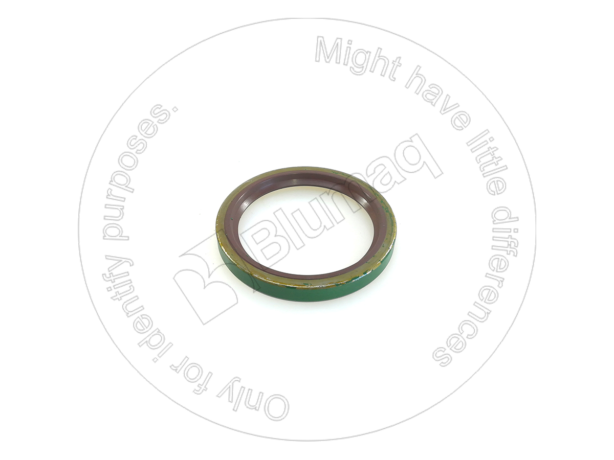 8J6242 ST САЛЬНИК