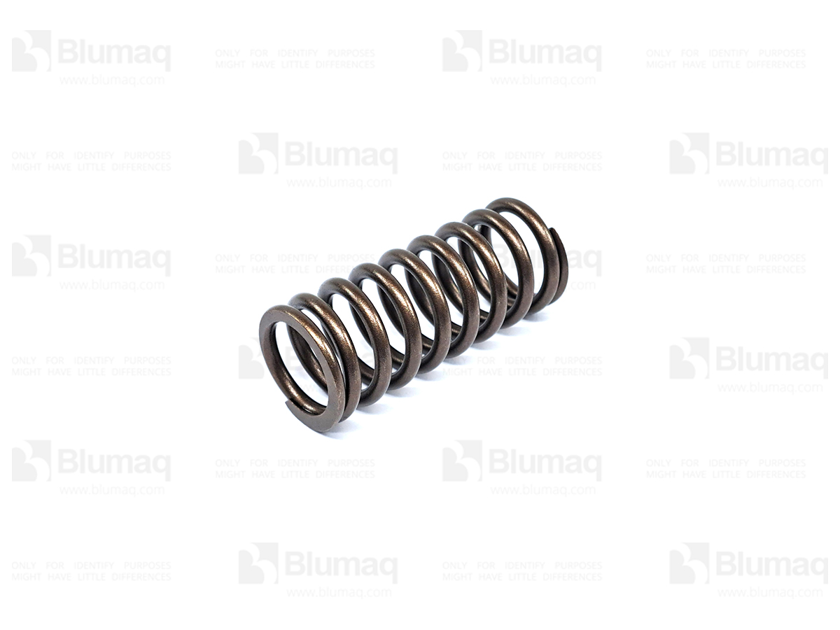 4500909 OE SPRING-VAL