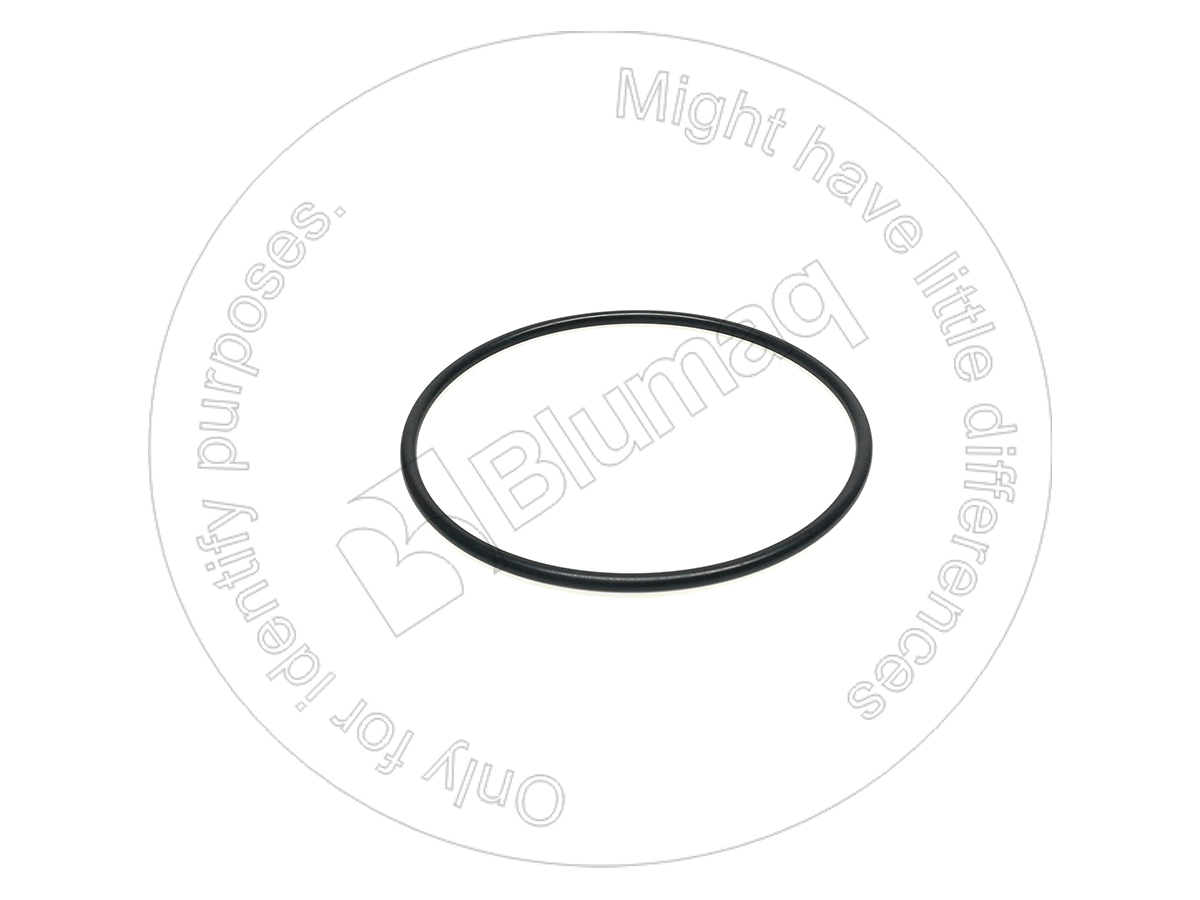 951724 ST КОЛЬЦО КРУГЛОГО СЕЧЕНИЯ