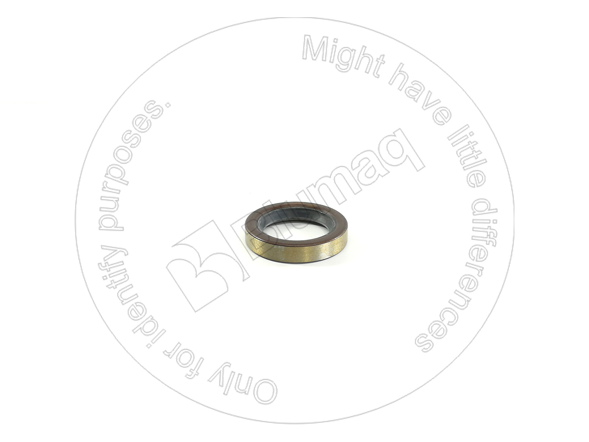 9H9484 ST САЛЬНИК