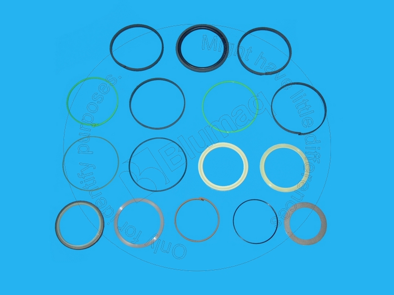 1186023 BQ НАБОР САЛЬНИКОВ