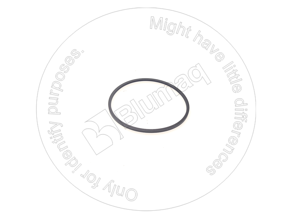 3J7386 ST САЛЬНИК