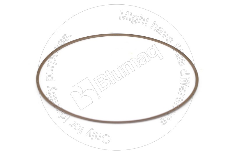 8U2399 ST КОЛЬЦО