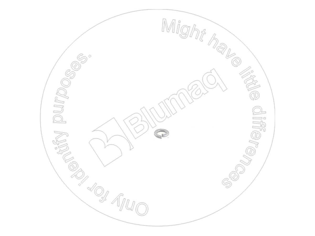 0059928 OE ШАЙБА