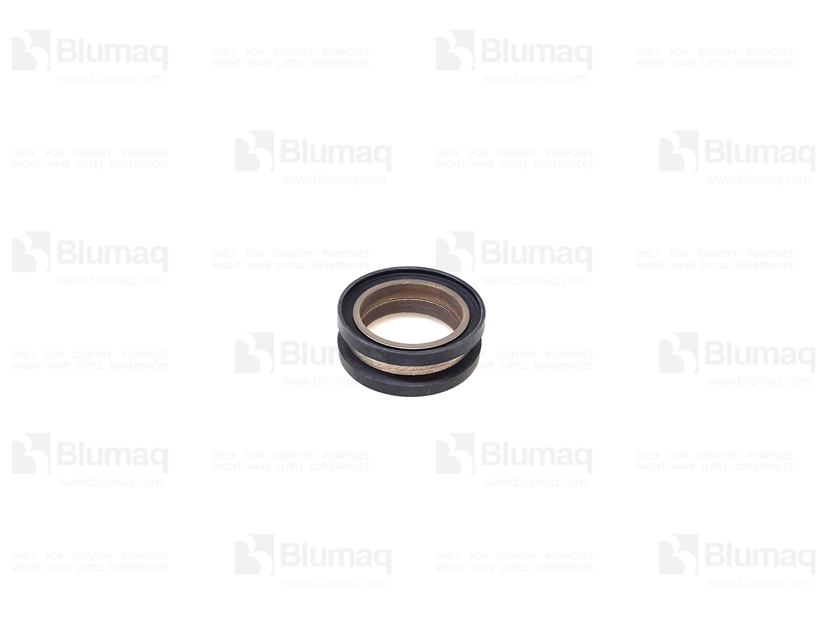 2781311 BQ SEAL GP CT
