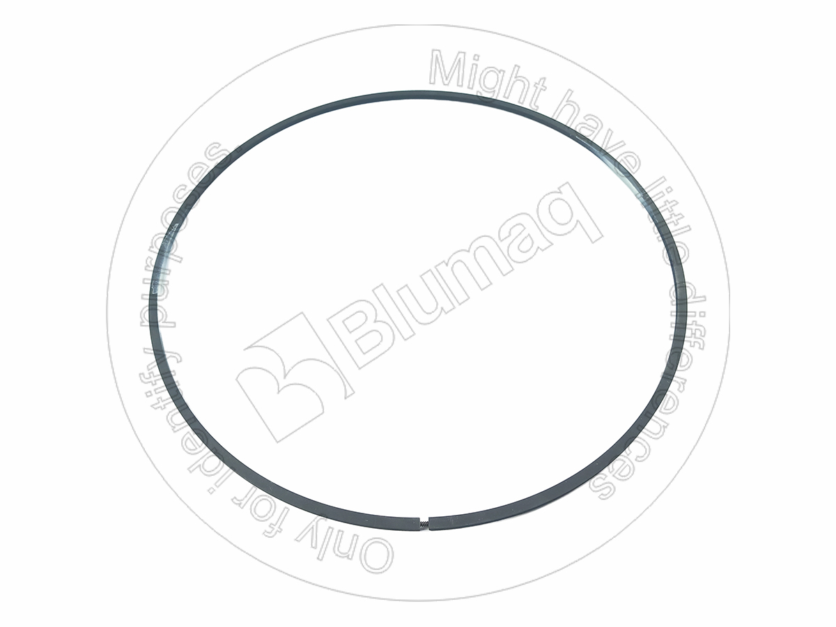 9P2944 OR САЛЬНИК