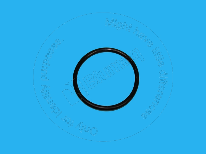 0922304 ST КОЛЬЦО КРУГЛОГО СЕЧЕНИЯ