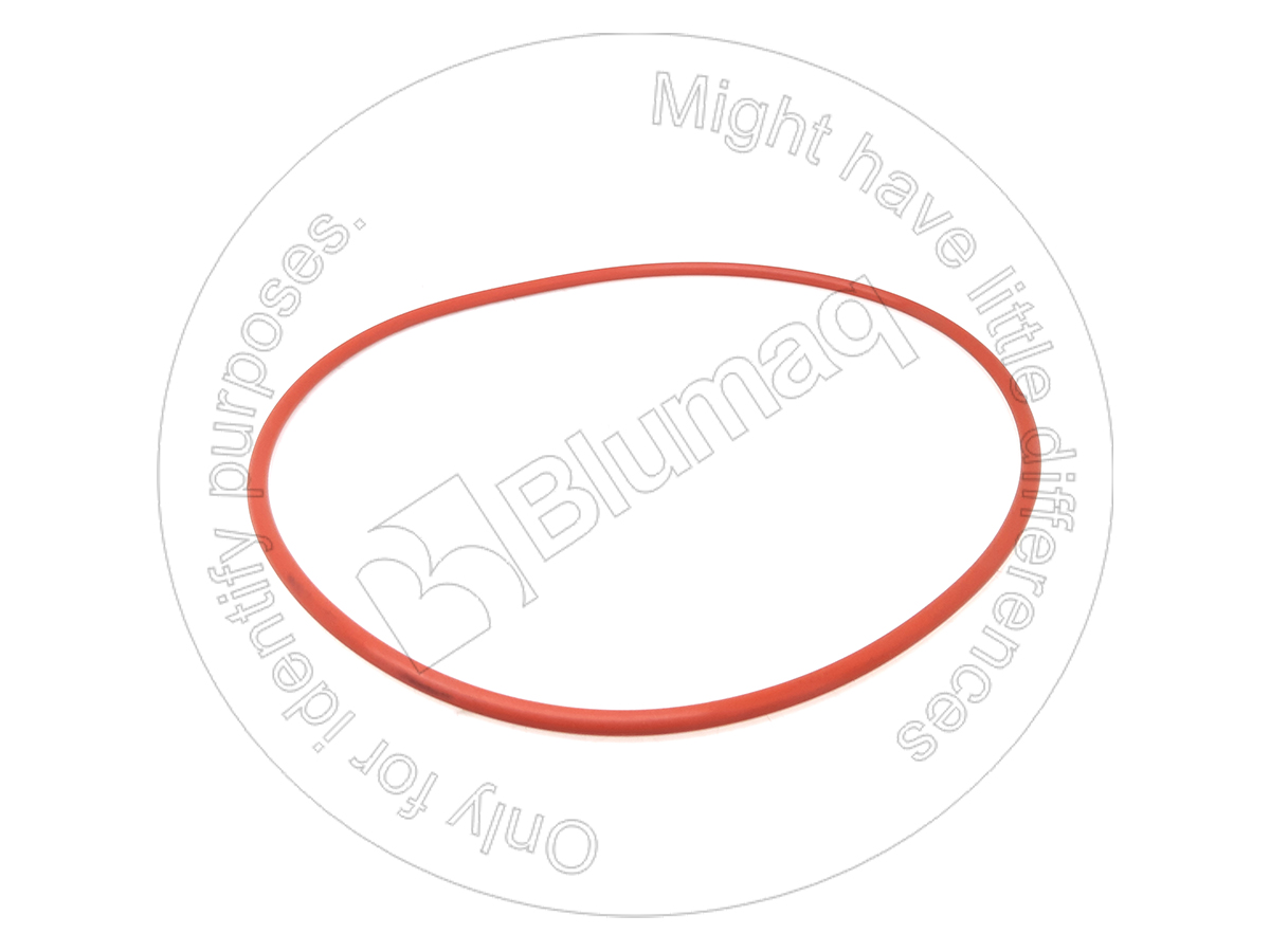 2979545 ST КОЛЬЦО КРУГЛОГО СЕЧЕНИЯ