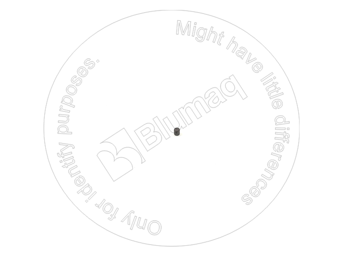 1933282XB BQ ШТИФТ