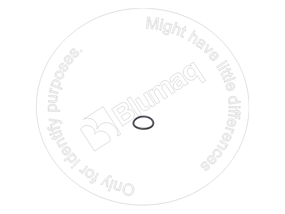 0777841 ST КОЛЬЦО КРУГЛОГО СЕЧЕНИЯ