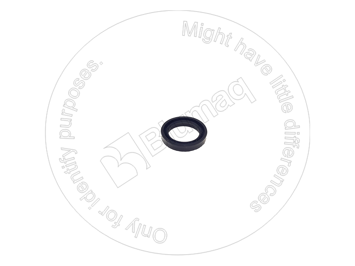 DG001093070 OE КОЛЬЦО