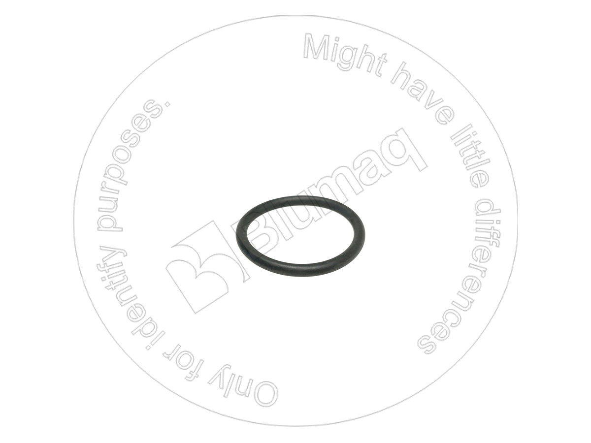 818413 BQ КОЛЬЦО КРУГЛОГО СЕЧЕНИЯ