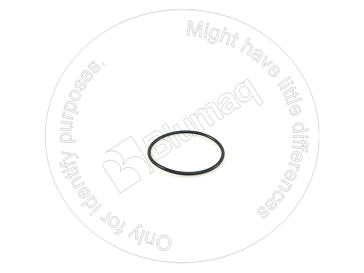 0951631 ST КОЛЬЦО КРУГЛОГО СЕЧЕНИЯ