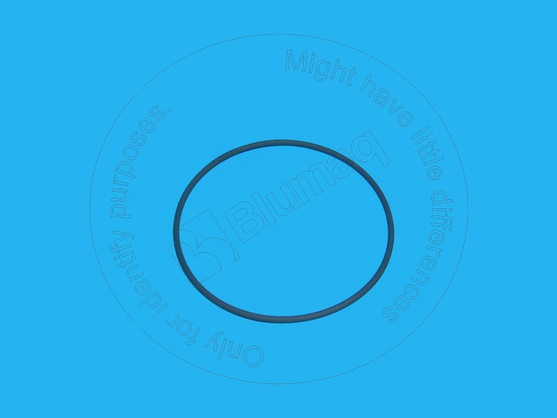 951710 ST САЛЬНИК