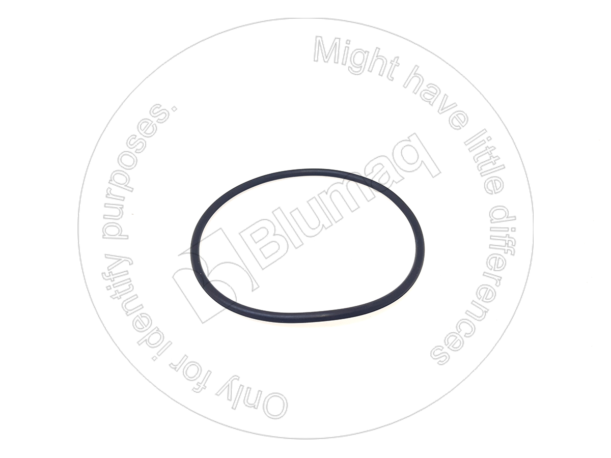 5P6619 ST КОЛЬЦО КРУГЛОГО СЕЧЕНИЯ