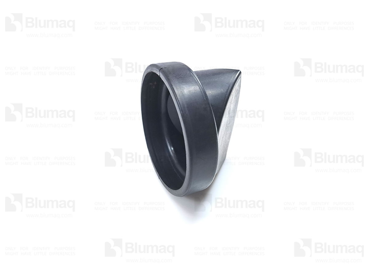 2472598 BQ КЛАПАН