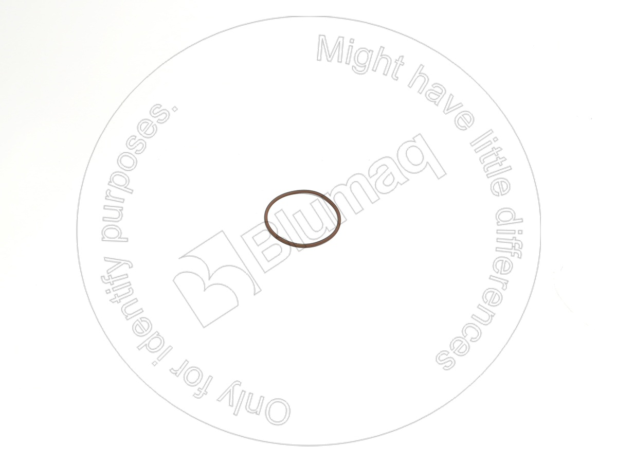 336031 ST КОЛЬЦО КРУГЛОГО СЕЧЕНИЯ