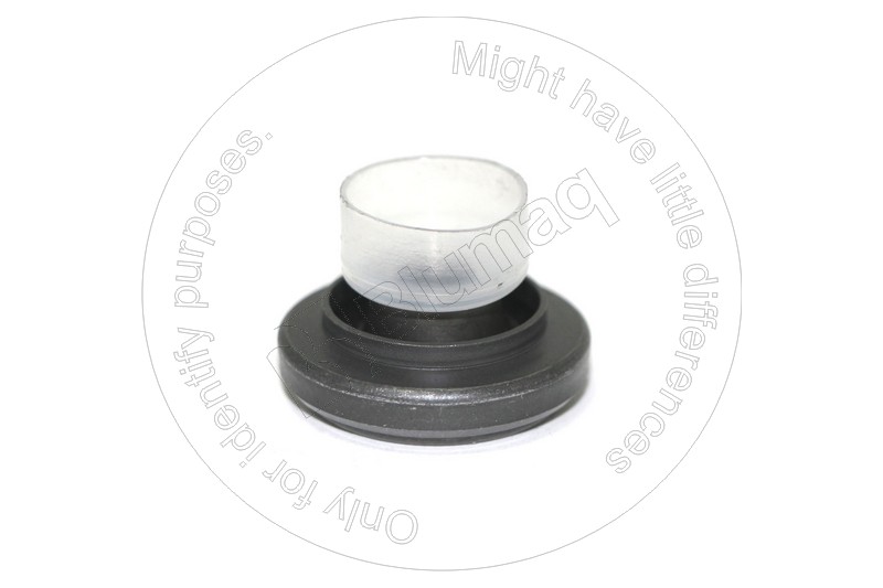 1W5300 ST ТАРЕЛКА КЛАПАНА