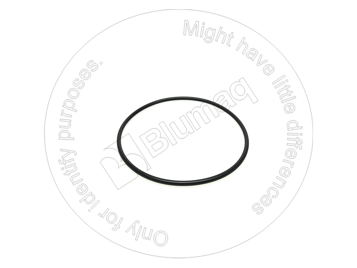 951729 ST КОЛЬЦО КРУГЛОГО СЕЧЕНИЯ