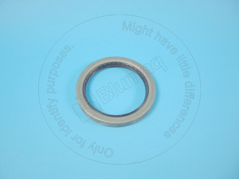 DG225763 OE САЛЬНИК
